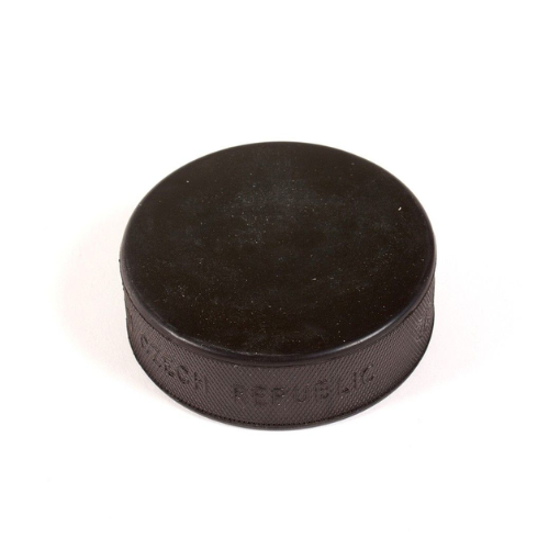 Palet De Hockey Junior